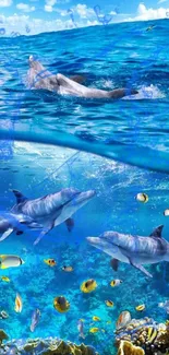 Dolphins swimming in vibrant ocean with coral reef and fish.