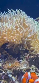 Underwater scene with coral and clownfish wallpaper.