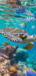 Turtle swimming over vibrant coral reef with colorful fish in background.