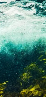 Underwater view with waves and sea algae in vibrant turquoise colors.