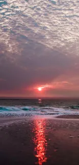 Serene ocean sunset with vibrant pink and orange hues reflecting on the water.