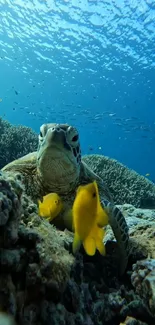 Sea turtle among coral with yellow fish swimming in vibrant blue water.