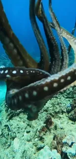 Vibrant octopus in clear blue ocean water with dynamic tentacles.