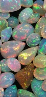 Vibrant opal gemstones with colorful patterns and dazzling design.