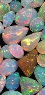 Vibrant opal gemstones with colorful patterns.