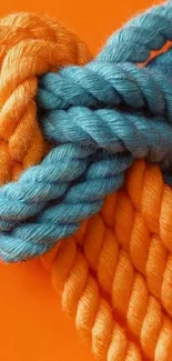 Orange and blue rope knot on phone wallpaper.