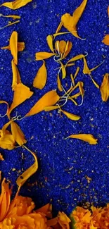 Orange petals on deep blue background; vibrant phone wallpaper.