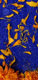 Vibrant orange petals on a blue background wallpaper.