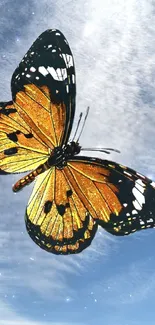 Orange butterfly soaring in a blue sky with white clouds.