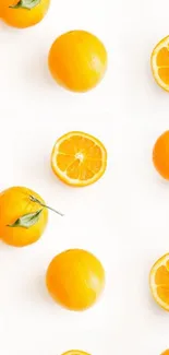 Vibrant orange citrus wallpaper with whole and sliced oranges on white background.