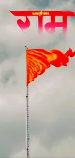 Orange flag waving against cloudy sky.