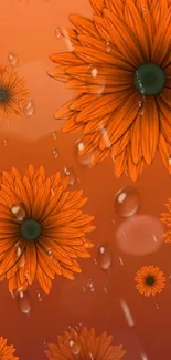 Orange floral wallpaper with daisies and raindrops.