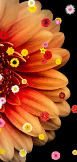 Vibrant orange flower with intricate petals on a black background.