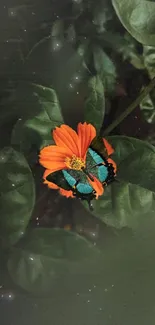 Orange flower and butterfly on leafy background.