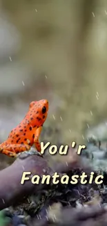 Orange frog with 'You’re Fantastic' text in forest setting.