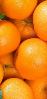 Closeup of vibrant orange fruits, perfect for a mobile wallpaper.