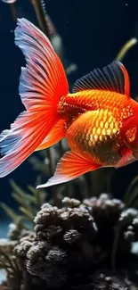 Close-up of a vibrant orange goldfish swimming underwater.