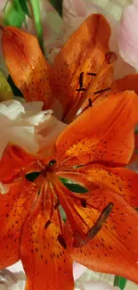 Close-up of vibrant orange lily flower with delicate petals.