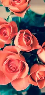 Vibrant orange roses close-up wallpaper.