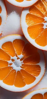 Close-up of vibrant, juicy orange slices with a frosty effect.