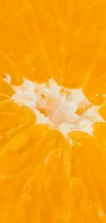 Close-up of a vibrant orange slice, showcasing juicy textures.