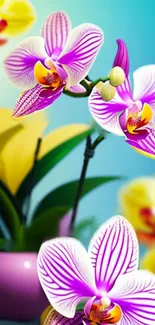 Vibrant purple orchids with yellow accents against a gradient blue background.