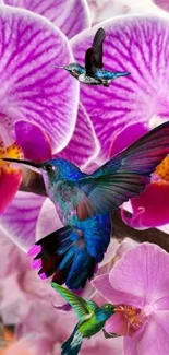 Colorful hummingbirds flying by purple orchids.