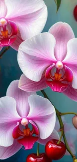 Pink orchids with cherries on a vibrant wallpaper.