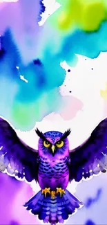 Vibrant watercolor owl art with colorful splashes in background.