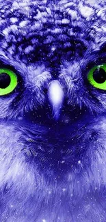 Close-up of vibrant blue owl with striking green eyes on a mobile wallpaper.