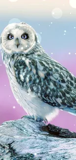 Owl perched on a log with a pastel pink and blue background.