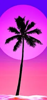 Palm tree silhouette against pink sunset sky wallpaper.