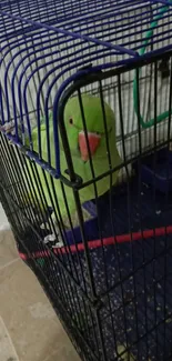 Green parakeet resting inside a cage with colorful accents.