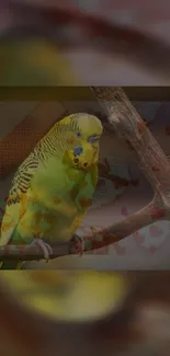 Vibrant green parakeet perched subtly against a heart-patterned background.