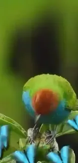 A vibrant green parrot with blue butterflies on a leaf.