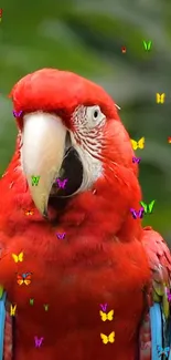 Red parrot with colorful butterflies on a green background.