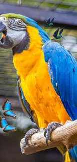 Vibrant parrot perched with butterflies and hummingbirds