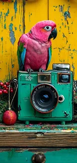 Vibrant parrot sitting on a vintage camera with a colorful background.