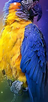 Colorful parrot with blue and yellow feathers on a vibrant background.