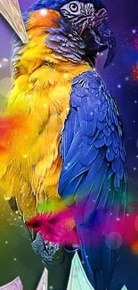 Vibrant parrot with rainbow colors on abstract background.