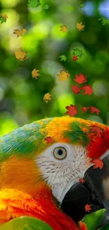 Vibrant parrot with autumn leaves in green background.