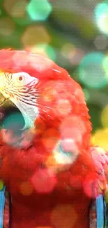 Vibrant red parrot with colorful bokeh background.