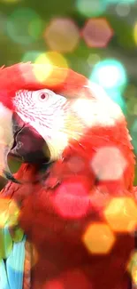 Vibrant parrot with a colorful bokeh background.