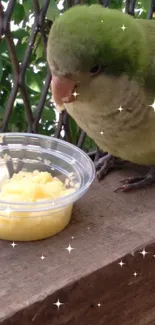 Green parrot eating beside a small dish on a wooden beam.