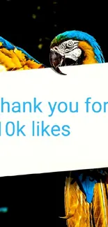 Vibrant parrot holding a thank you sign for 10k likes.