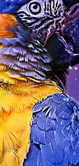 Vibrant close-up of a blue and yellow parrot.