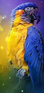 Vibrant parrot with colorful feathers on a dynamic bokeh background.