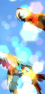 Two colorful parrots flying in a clear blue sky.