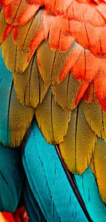 Close-up of vibrant parrot feathers in red, green, and blue hues.