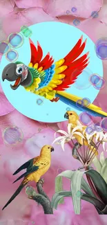 Colorful parrot with floral and bubble background on mobile wallpaper.